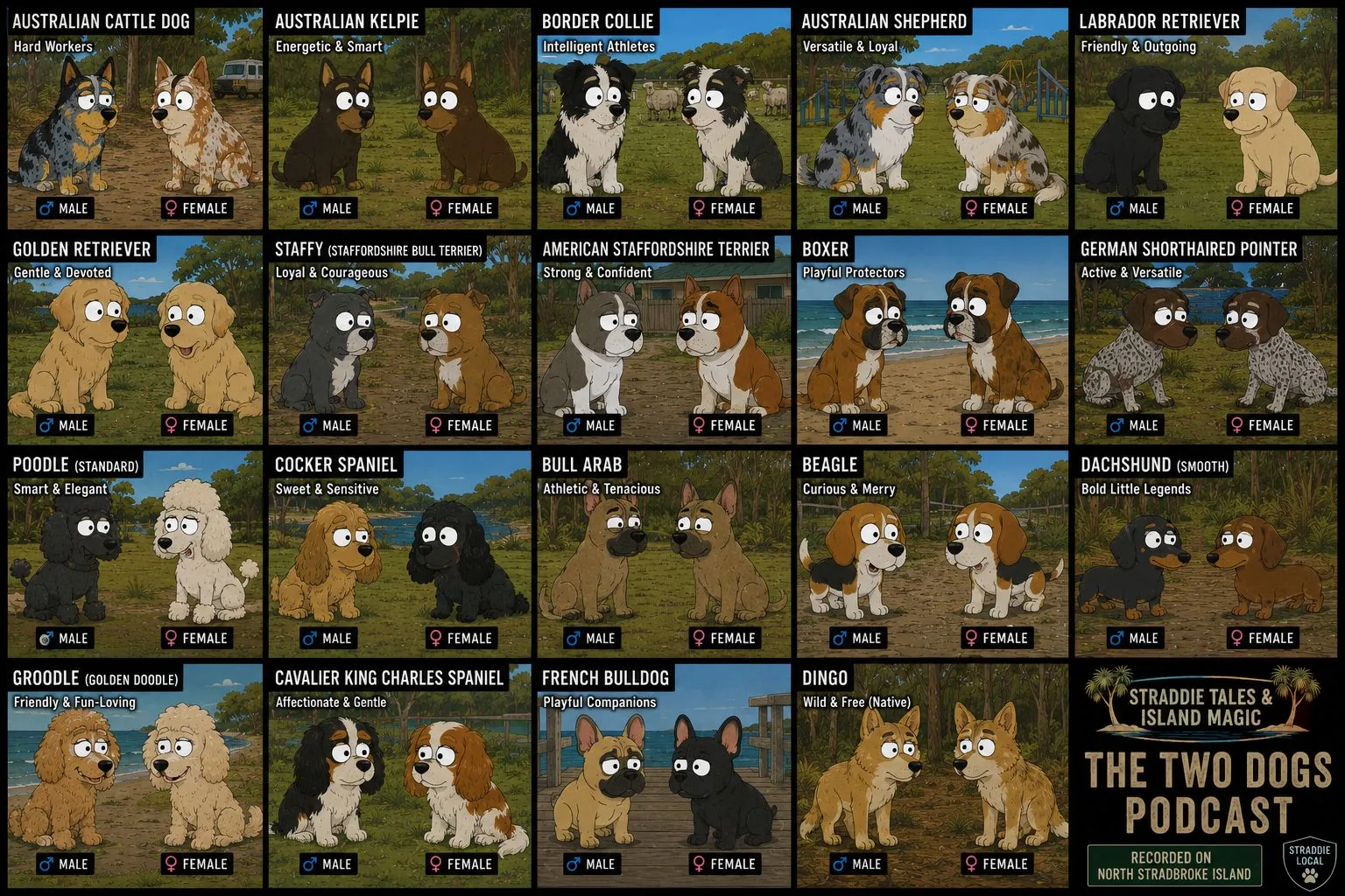 Speculative Two Dogs guide board showing dog breed character options including cattle dogs, kelpies, border collies, shepherds, retrievers, staffies, boxers, pointers, poodles, spaniels, beagles, dachshunds, groodles, cavaliers, French bulldogs and dingoes