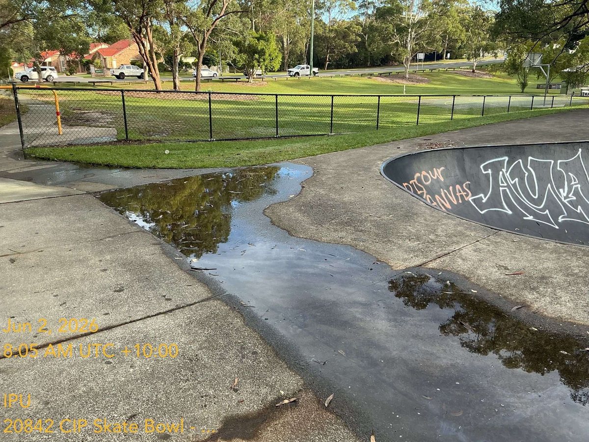 Actual Appendix D site photo showing water pooling near the skate bowl.
