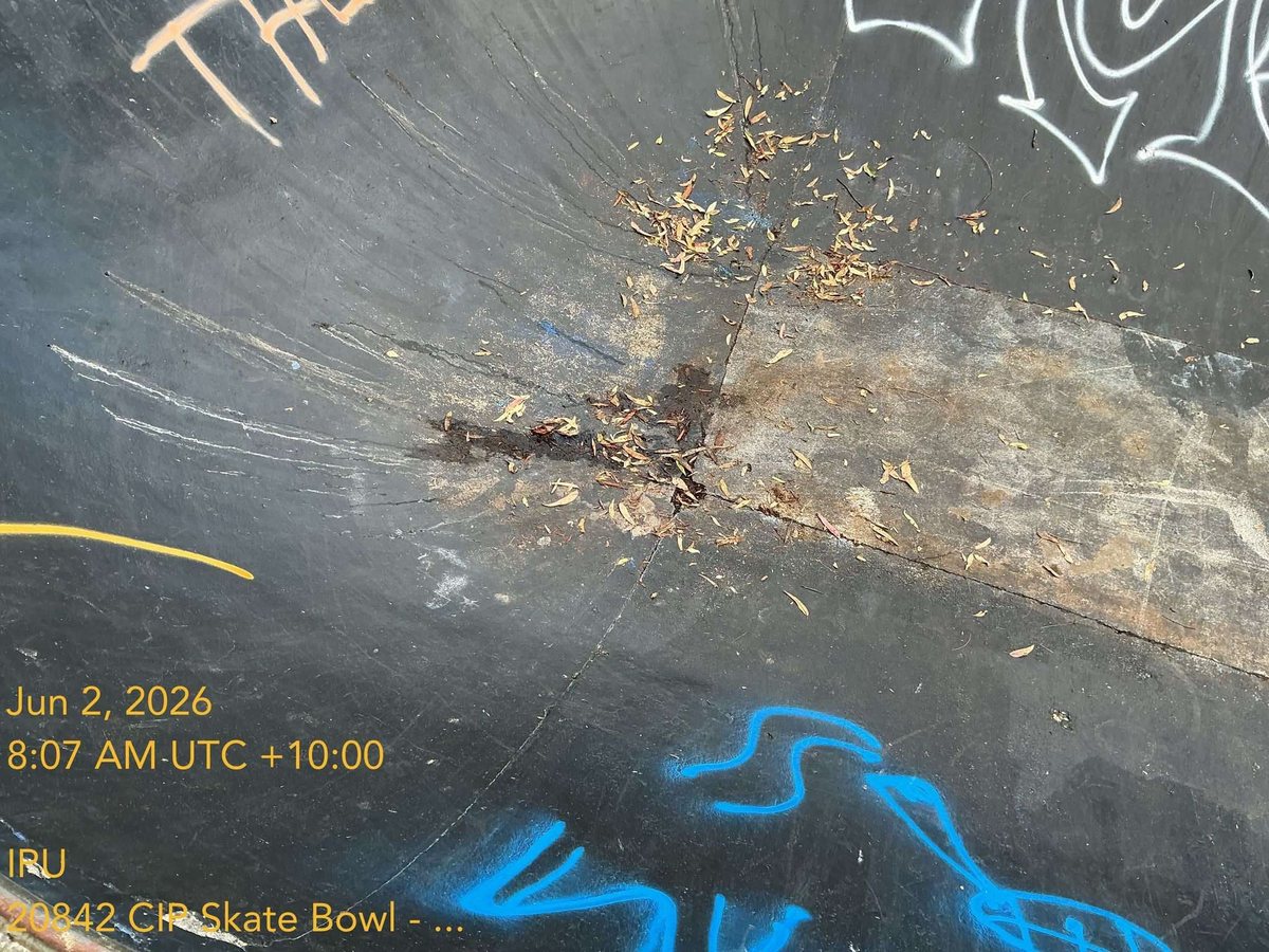 Actual Appendix D close photo showing debris and surface marks.
